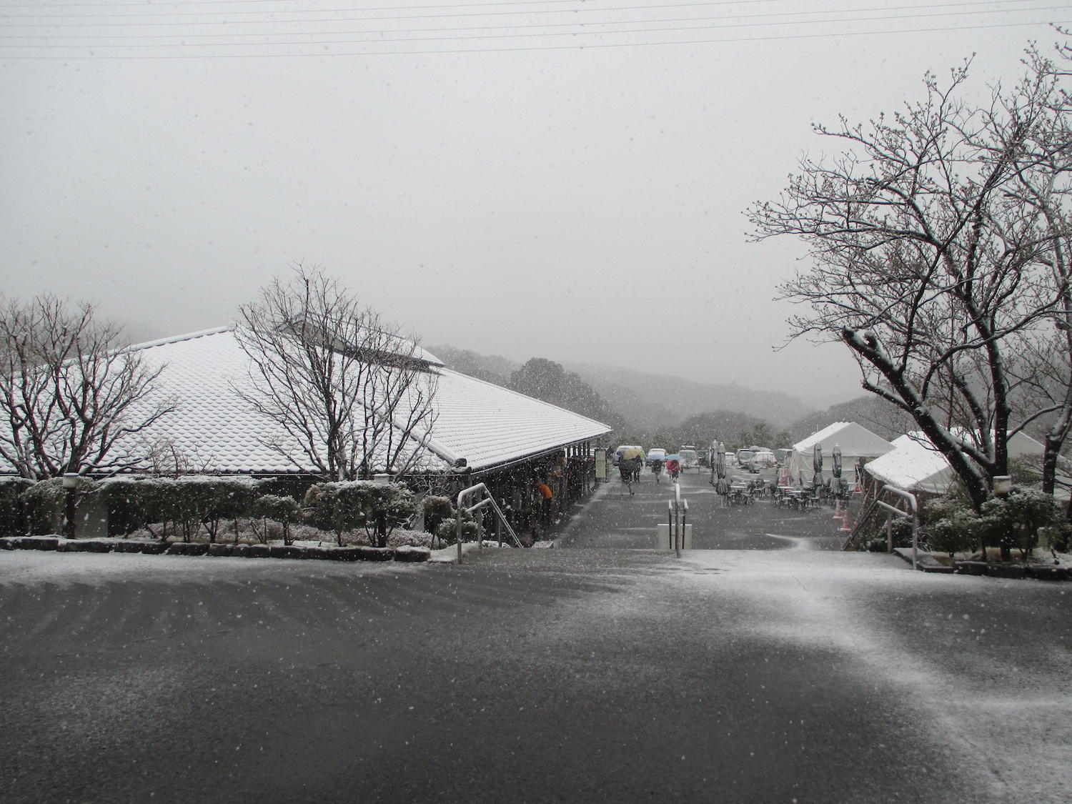 http://www.shonan-ls.co.jp/blog/stone/img/20180321IIMG_1236.JPG