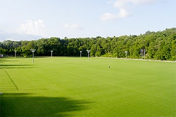 グラウンドを芝生にしたい グリーンターフプロジェクト 芝生整備事業 湘南造園株式会社