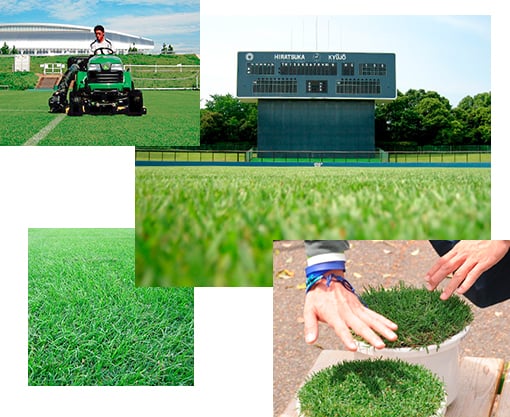 グラウンドを芝生にしたい グリーンターフプロジェクト 芝生整備事業 湘南造園株式会社