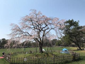 IMG_3363.jpg