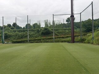image5.jpeg