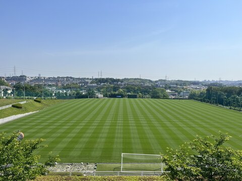 IMG_6223.jpg