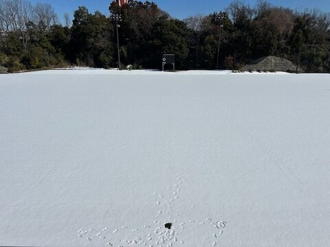 2024年2月6日雪.jpg