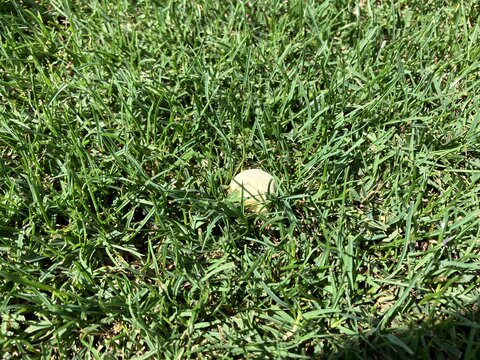 IMG_2111.JPG