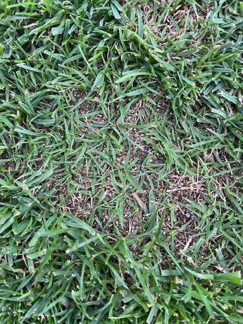 image22.jpeg