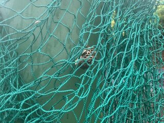 image43.jpeg