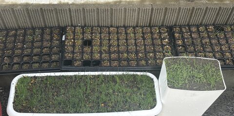 image1 (002).jpeg