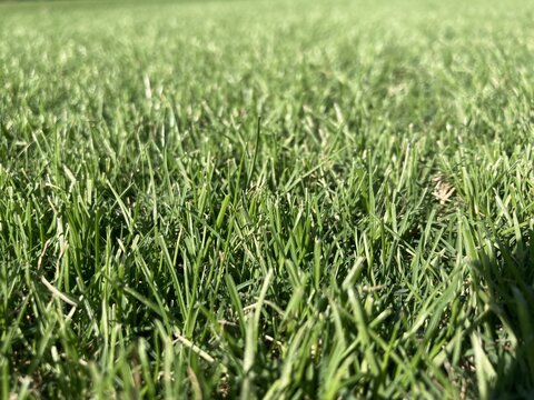 IMG_1564.JPG