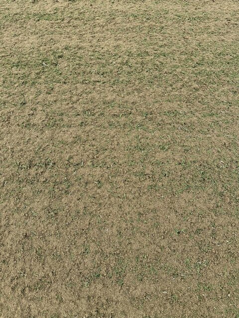 IMG_1977 (1).jpeg