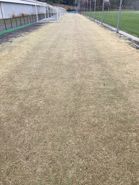 4月4日駐車場 .jpeg