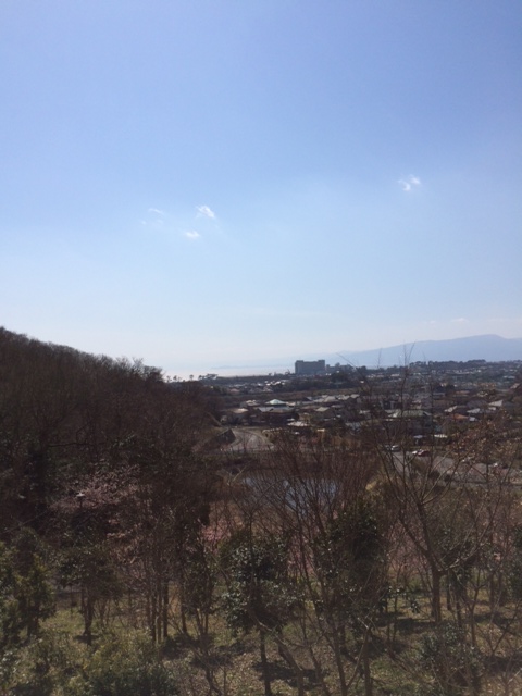 大磯公園.JPG