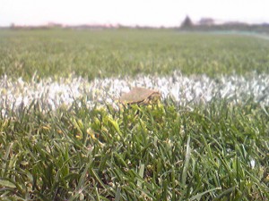 image041