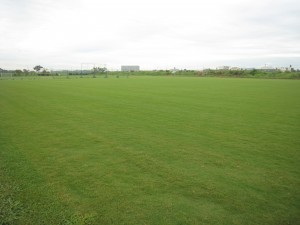 img_8360