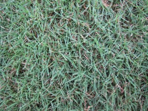 img_8363
