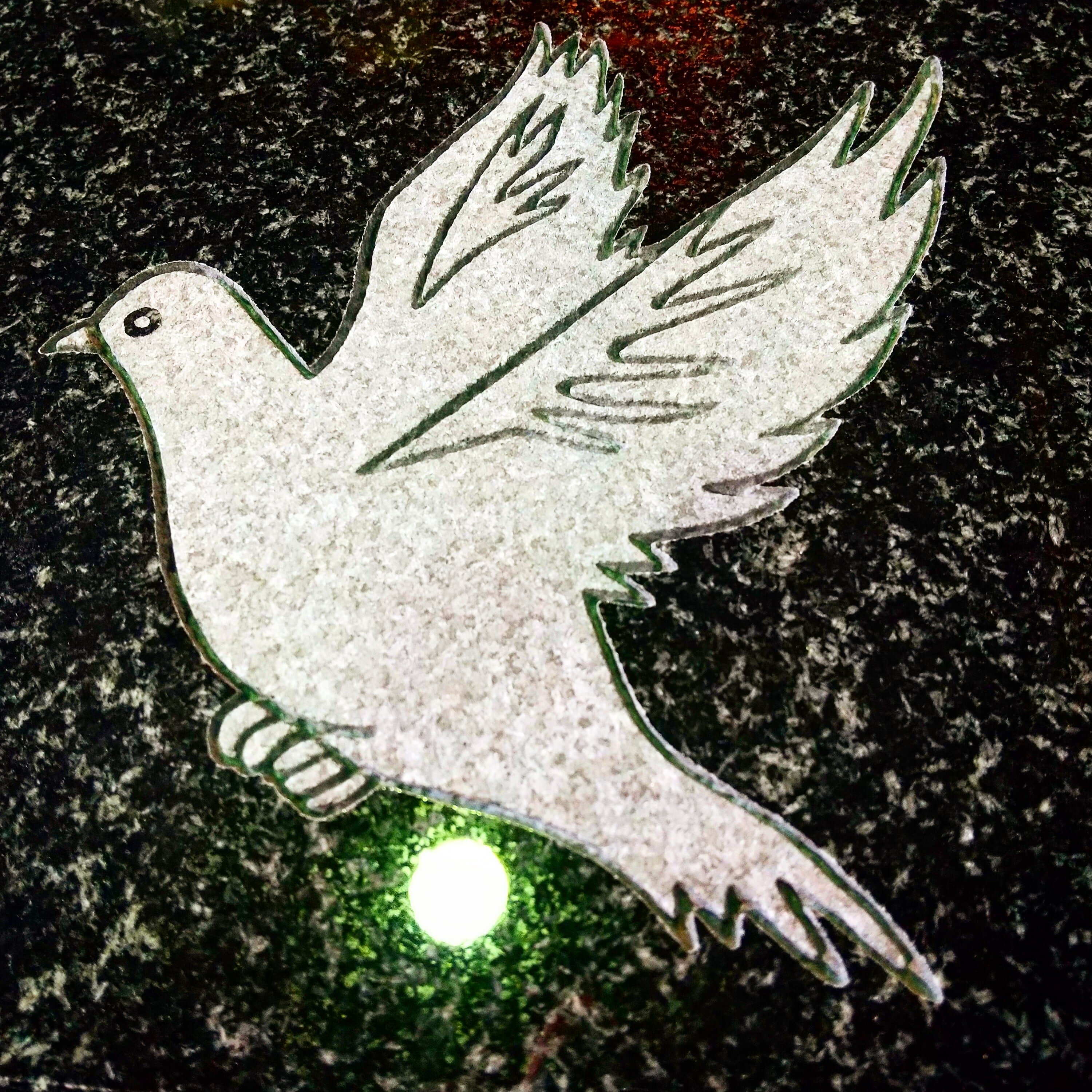 https://www.shonan-ls.co.jp/blog/stone/IMG_20240618_151215_491.jpg