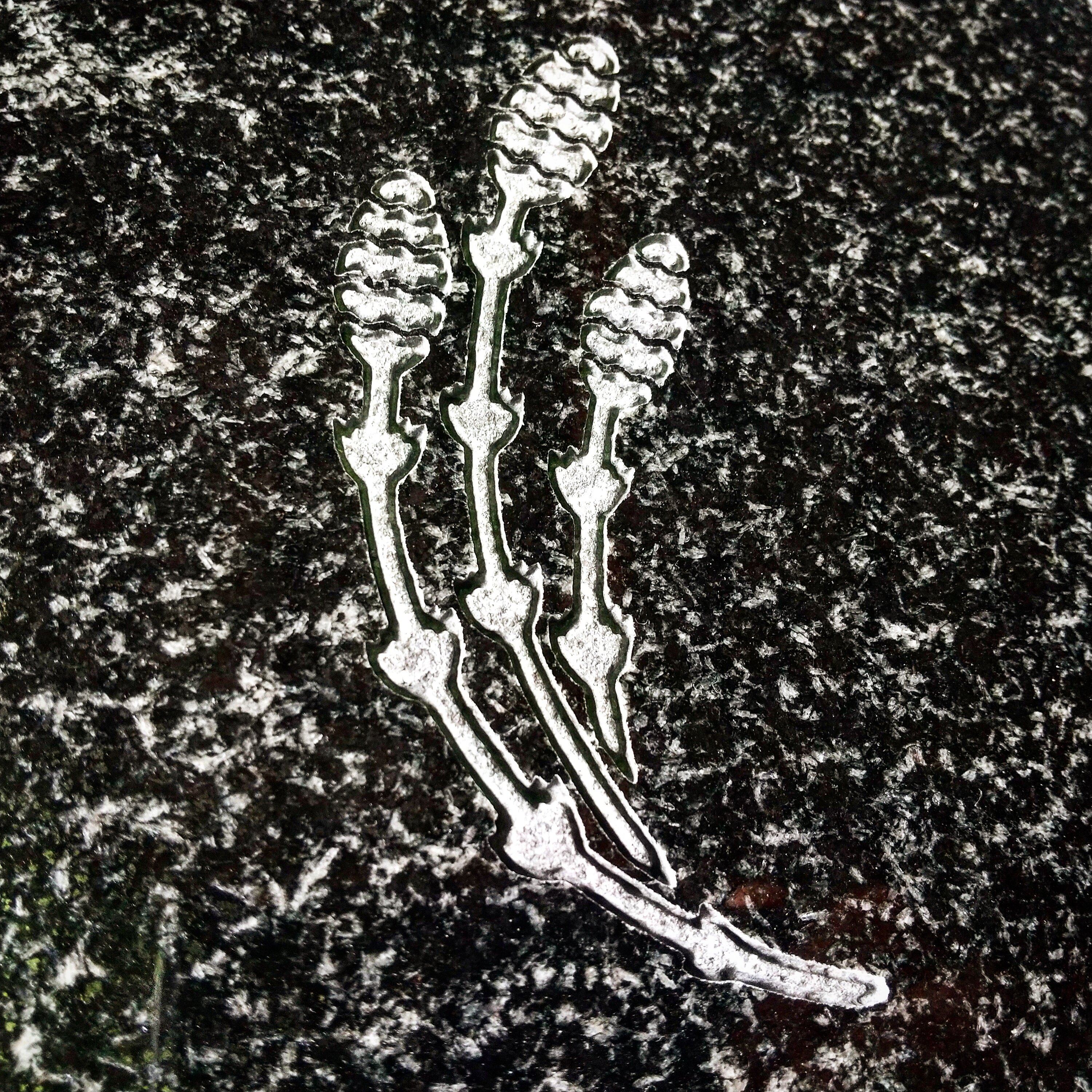https://www.shonan-ls.co.jp/blog/stone/IMG_20240712_090721_349.jpg