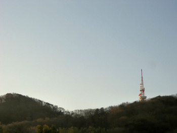 20120312.JPG