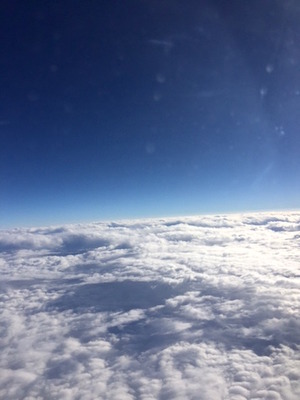 image1.JPG