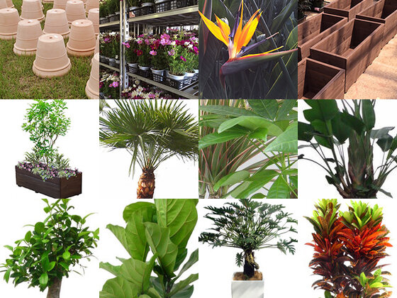 お花・観葉植物のレンタル・販売を取り扱うオンラインカタログ「Garden-Information」を公開しました