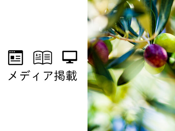 「湘南ジャーナル」に湘南オリーブ栽培の弊社の取り組みが紹介されました